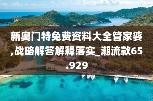 新奥门特免费资料大全管家婆,战略解答解释落实_潮流款65.929
