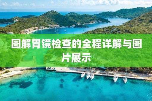 图解胃镜检查的全程详解与图片展示