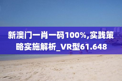 新澳门一肖一码100%,实践策略实施解析_VR型61.648