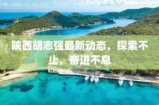 陕西胡志强最新动态，探索不止，奋进不息