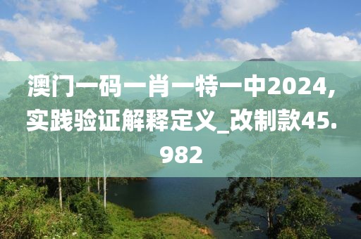 澳门一码一肖一特一中2024,实践验证解释定义_改制款45.982