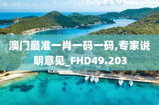 澳门最准一肖一码一码,专家说明意见_FHD49.203