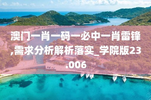 澳门一肖一码一必中一肖雷锋,需求分析解析落实_学院版23.006