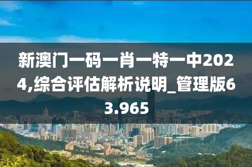 新澳门一码一肖一特一中2024,综合评估解析说明_管理版63.965