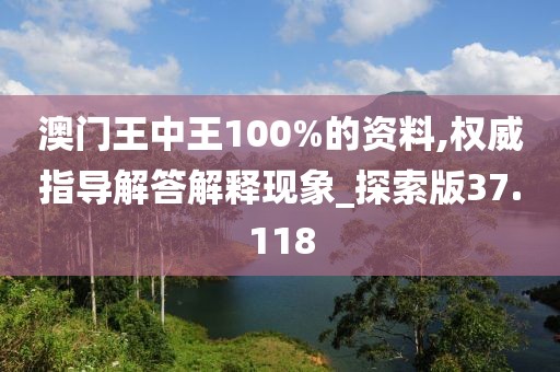 澳门王中王100%的资料,权威指导解答解释现象_探索版37.118