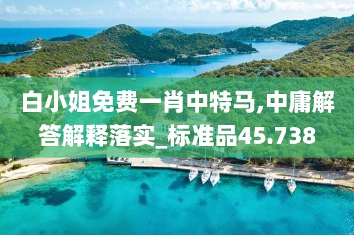 白小姐免费一肖中特马,中庸解答解释落实_标准品45.738