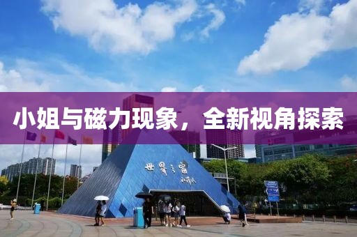 小姐与磁力现象，全新视角探索