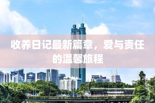 收养日记最新篇章，爱与责任的温馨旅程