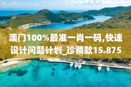 澳门100%最准一肖一码,快速设计问题计划_珍藏款15.875