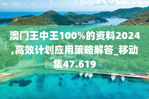 澳门王中王100%的资料2024,高效计划应用策略解答_移动集47.619