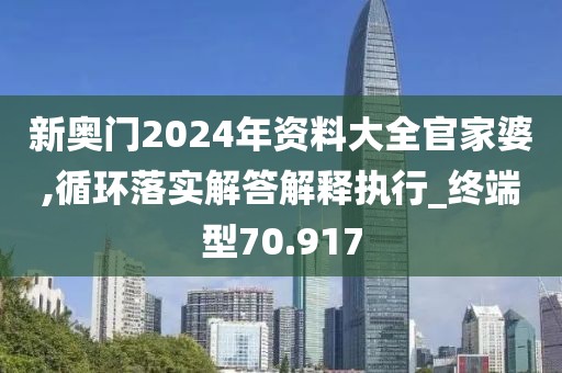 新奥门2024年资料大全官家婆,循环落实解答解释执行_终端型70.917