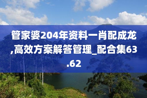 管家婆204年资料一肖配成龙,高效方案解答管理_配合集63.62