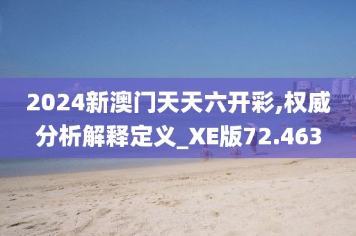 2024新澳门天天六开彩,权威分析解释定义_XE版72.463