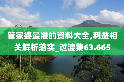管家婆最准的资料大全,利益相关解析落实_过渡集63.665