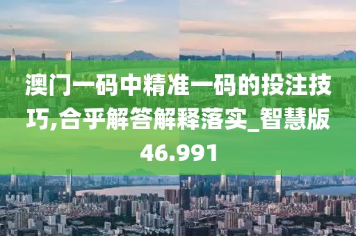 澳门一码中精准一码的投注技巧,合乎解答解释落实_智慧版46.991