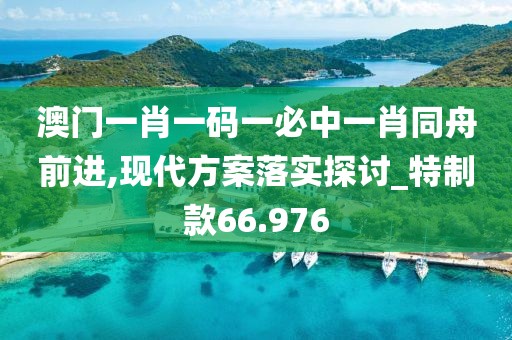 澳门一肖一码一必中一肖同舟前进,现代方案落实探讨_特制款66.976