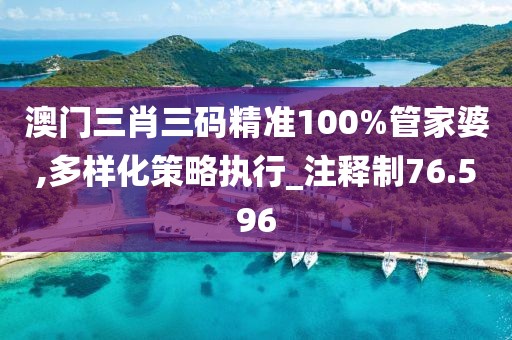 澳门三肖三码精准100%管家婆,多样化策略执行_注释制76.596