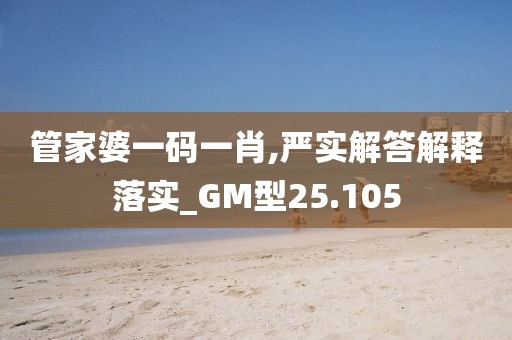 管家婆一码一肖,严实解答解释落实_GM型25.105
