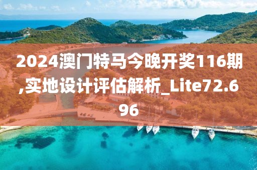 2024澳门特马今晚开奖116期,实地设计评估解析_Lite72.696