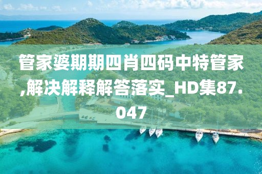 管家婆期期四肖四码中特管家,解决解释解答落实_HD集87.047