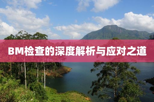 BM检查的深度解析与应对之道