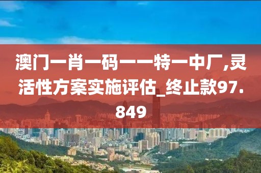 澳门一肖一码一一特一中厂,灵活性方案实施评估_终止款97.849