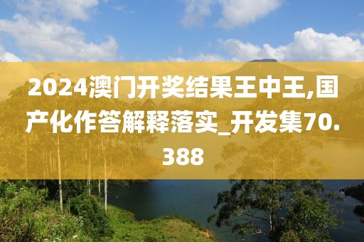 2024澳门开奖结果王中王,国产化作答解释落实_开发集70.388