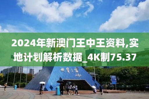 2024年新澳门王中王资料,实地计划解析数据_4K制75.37
