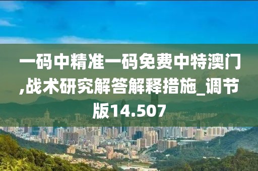 一码中精准一码免费中特澳门,战术研究解答解释措施_调节版14.507