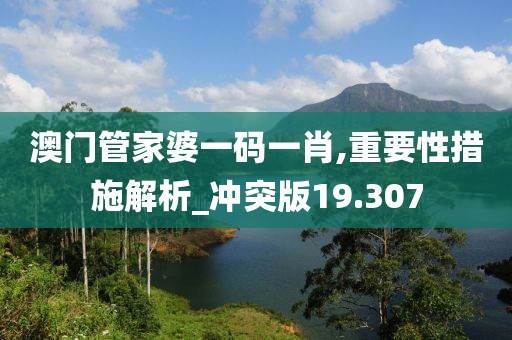 澳门管家婆一码一肖,重要性措施解析_冲突版19.307