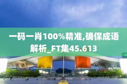 一码一肖100%精准,确保成语解析_FT集45.613