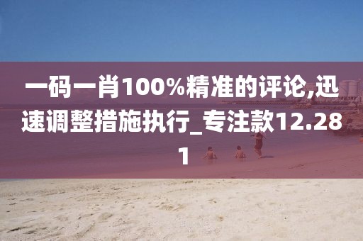 一码一肖100%精准的评论,迅速调整措施执行_专注款12.281