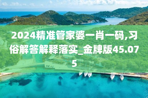 2024精准管家婆一肖一码,习俗解答解释落实_金牌版45.075