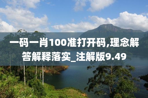 一码一肖100准打开码,理念解答解释落实_注解版9.49