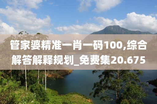 管家婆精准一肖一码100,综合解答解释规划_免费集20.675
