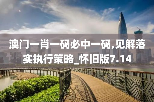 澳门一肖一码必中一码,见解落实执行策略_怀旧版7.14