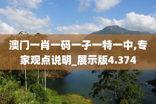 澳门一肖一码一孑一特一中,专家观点说明_展示版4.374