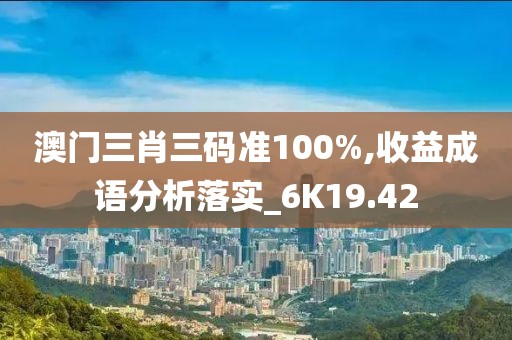 澳门三肖三码准100%,收益成语分析落实_6K19.42