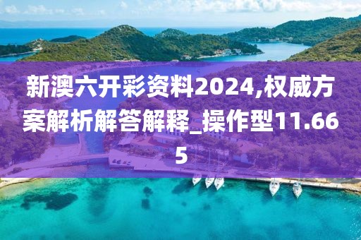 新澳六开彩资料2024,权威方案解析解答解释_操作型11.665