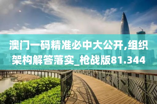 澳门一码精准必中大公开,组织架构解答落实_枪战版81.344