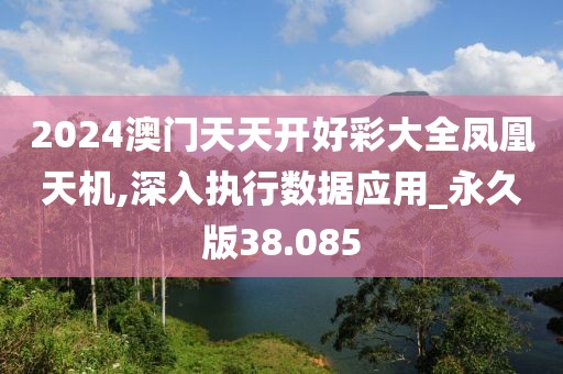 2024澳门天天开好彩大全凤凰天机,深入执行数据应用_永久版38.085