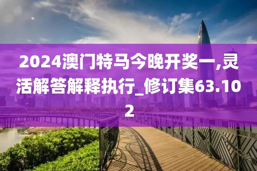 2024澳门特马今晚开奖一,灵活解答解释执行_修订集63.102