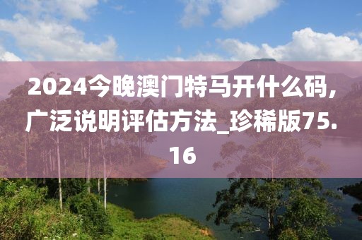 2024今晚澳门特马开什么码,广泛说明评估方法_珍稀版75.16