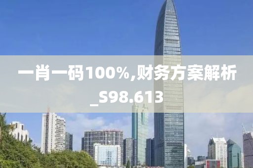 一肖一码100%,财务方案解析_S98.613