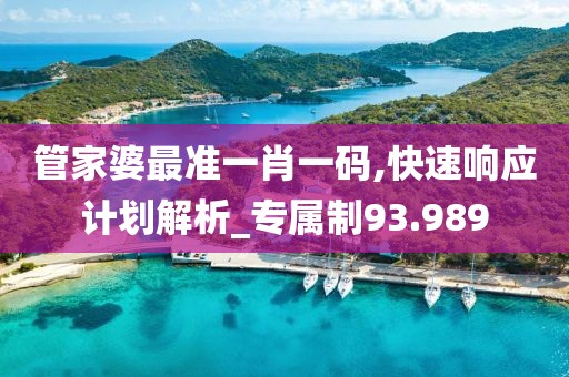 管家婆最准一肖一码,快速响应计划解析_专属制93.989