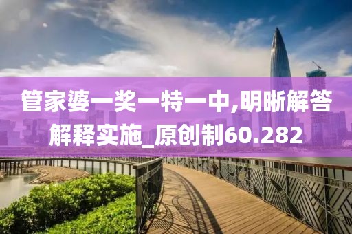 管家婆一奖一特一中,明晰解答解释实施_原创制60.282