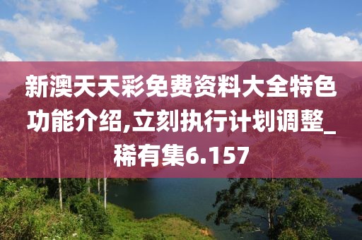 新澳天天彩免费资料大全特色功能介绍,立刻执行计划调整_稀有集6.157