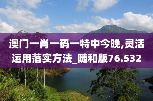 澳门一肖一码一特中今晚,灵活运用落实方法_随和版76.532