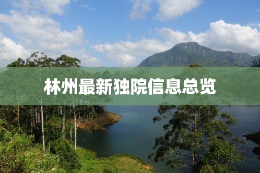 林州最新独院信息总览