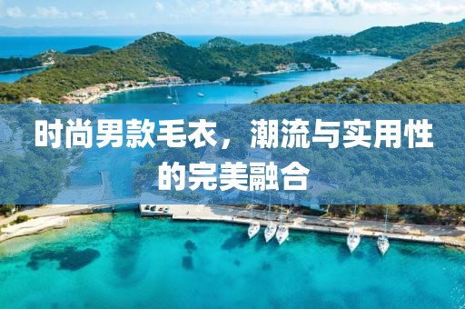 时尚男款毛衣，潮流与实用性的完美融合